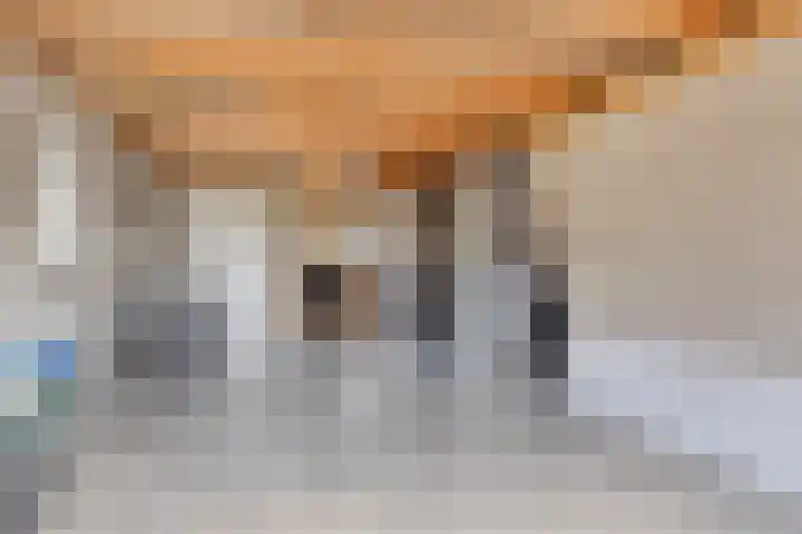 Wiegersmastraat 1 A Lith thumbnail 31