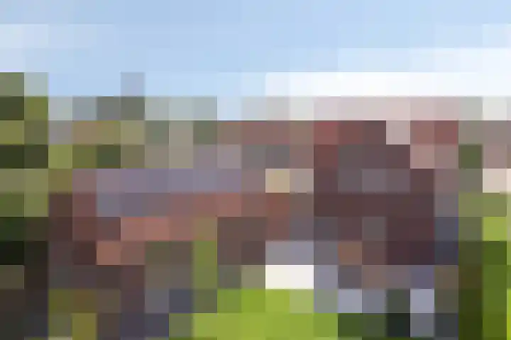 Wiegersmastraat 1 A Lith thumbnail 35