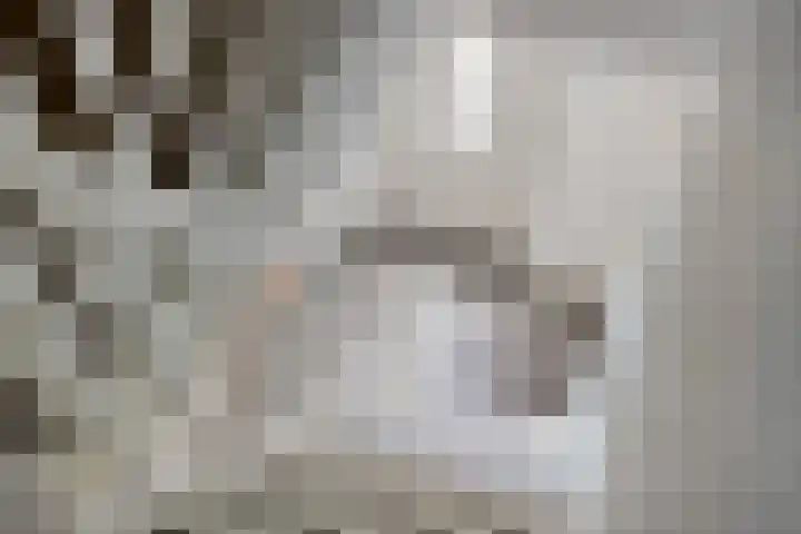 Wiegersmastraat 1 A Lith thumbnail 36