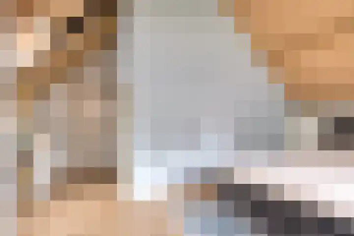 Wiegersmastraat 1 A Lith thumbnail 39
