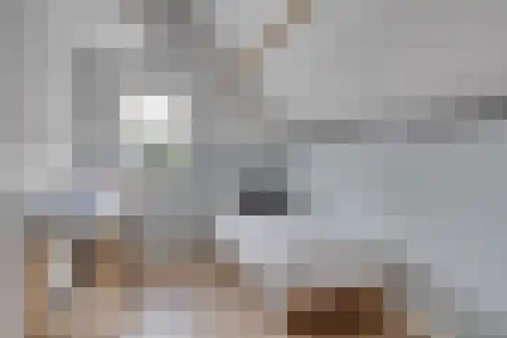 Wiegersmastraat 1 A Lith thumbnail 47
