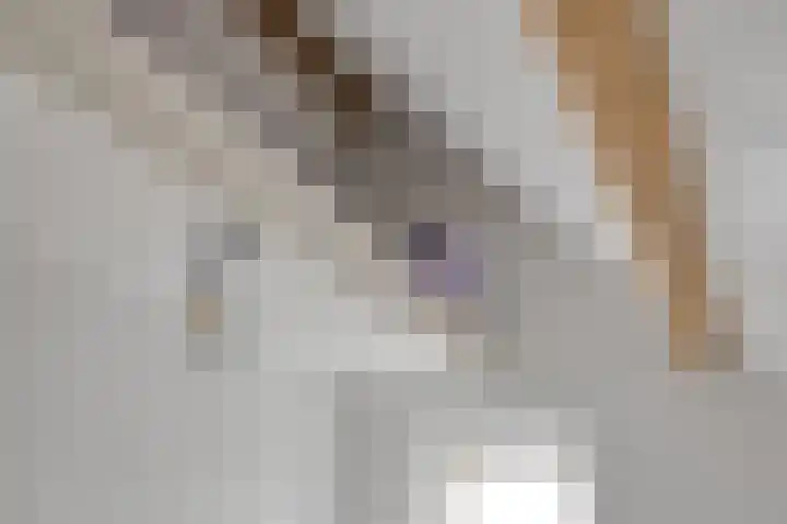 Wiegersmastraat 1 A Lith thumbnail 49