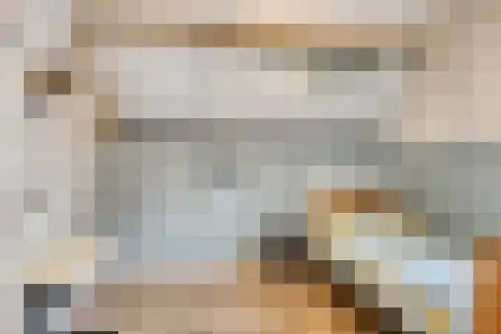 Wiegersmastraat 1 A Lith thumbnail 50