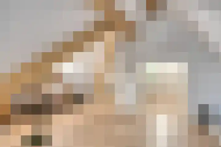 Wiegersmastraat 1 A Lith thumbnail 54