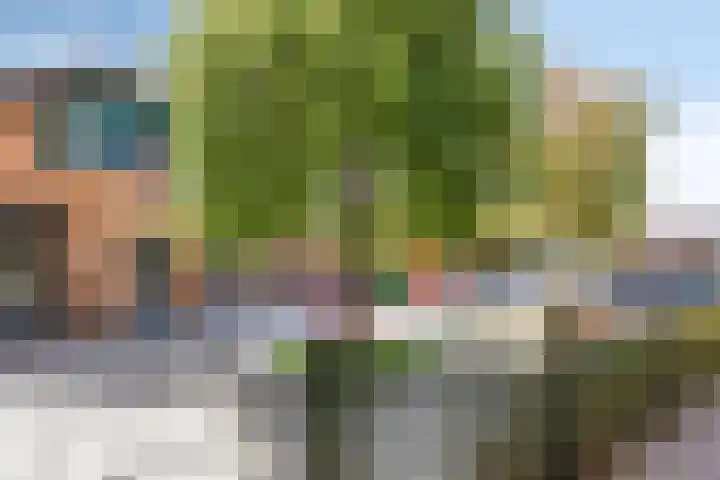 Wiegersmastraat 1 A Lith thumbnail 59