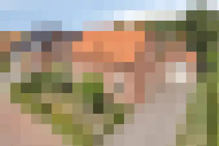 Wiegersmastraat 1 A Lith thumbnail 68