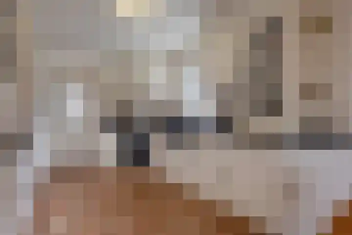 Wiegersmastraat 5 Lith thumbnail 10
