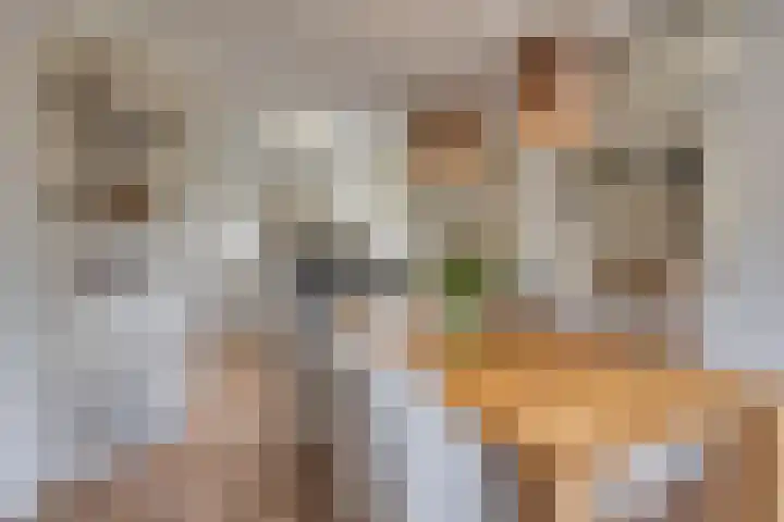 Wiegersmastraat 5 Lith thumbnail 11