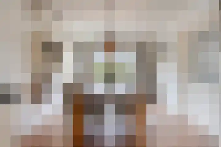 Wiegersmastraat 5 Lith thumbnail 12