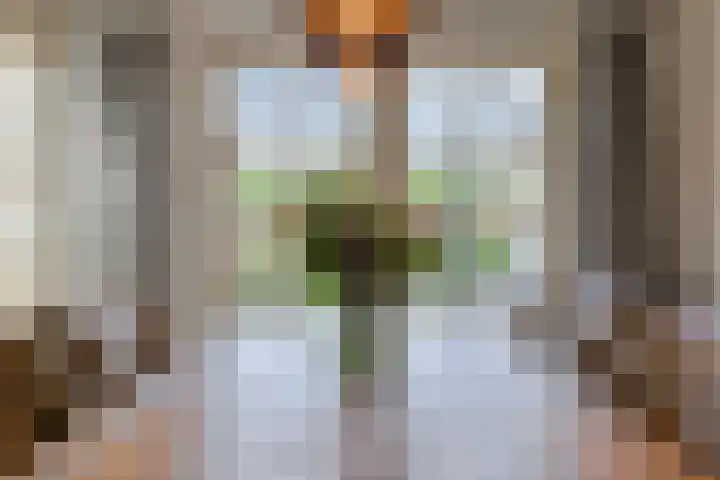 Wiegersmastraat 5 Lith thumbnail 13
