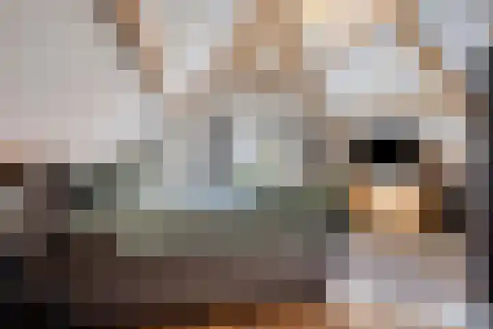 Wiegersmastraat 5 Lith thumbnail 18