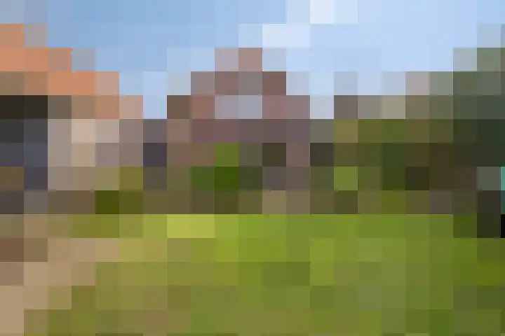 Wiegersmastraat 5 Lith thumbnail 26