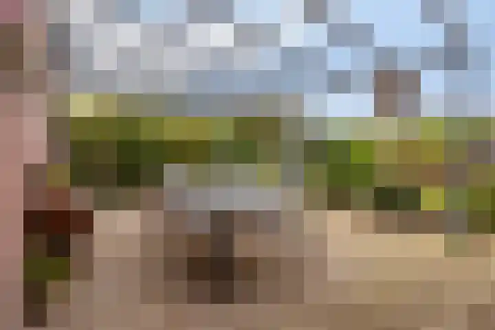 Wiegersmastraat 5 Lith thumbnail 27