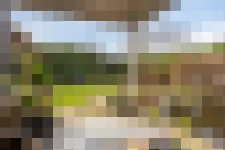 Wiegersmastraat 5 Lith thumbnail 29