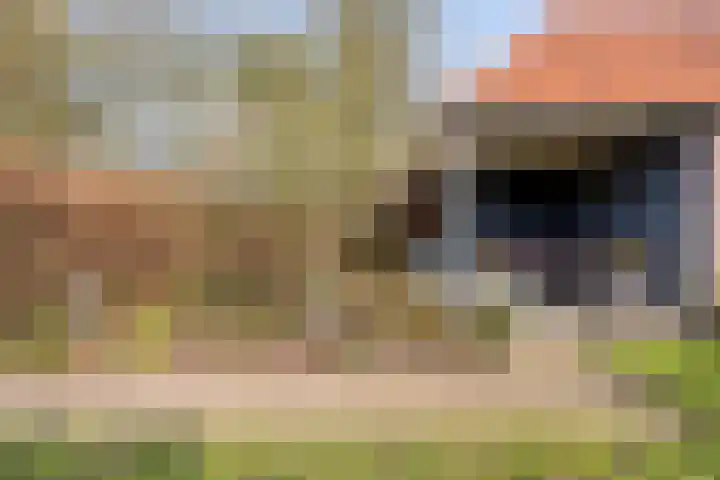 Wiegersmastraat 5 Lith thumbnail 31