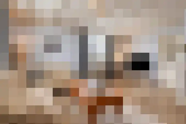 Wiegersmastraat 5 Lith thumbnail 4