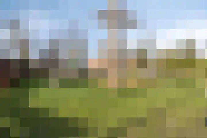 Wiegersmastraat 5 Lith thumbnail 41
