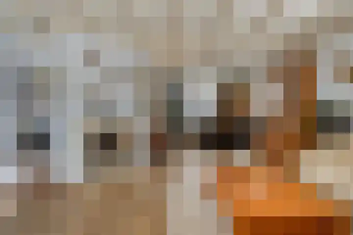 Wiegersmastraat 5 Lith thumbnail 7