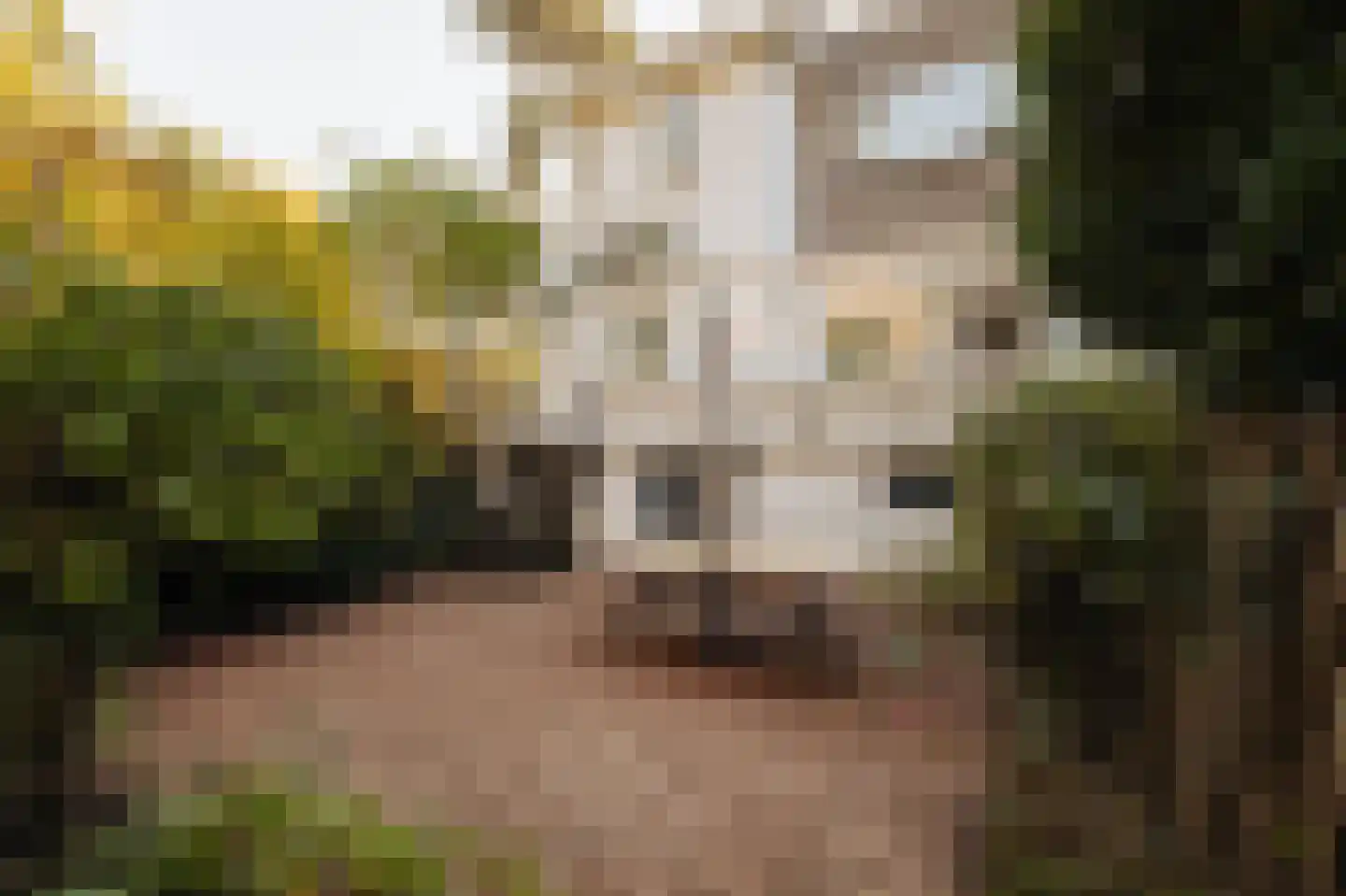 Wiegmanweg 1 Wassenaar thumbnail 38