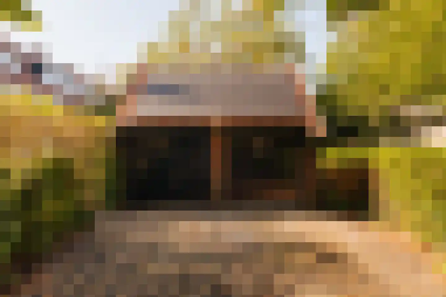 Wiegmanweg 1 Wassenaar thumbnail 41
