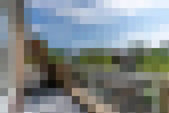 Wiegmanweg 16 Wassenaar thumbnail 9