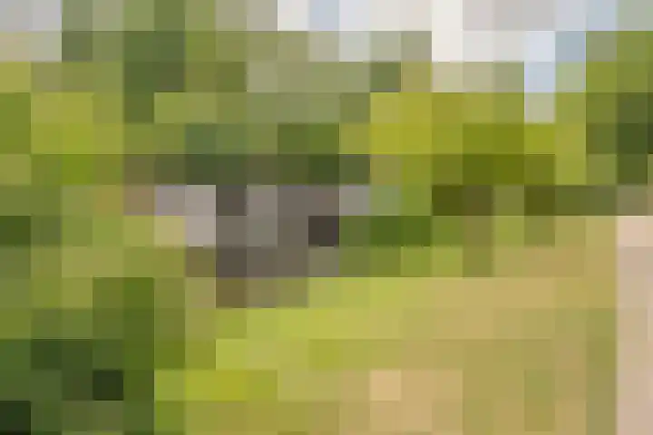 Wiegmanweg 32 Wassenaar thumbnail 17