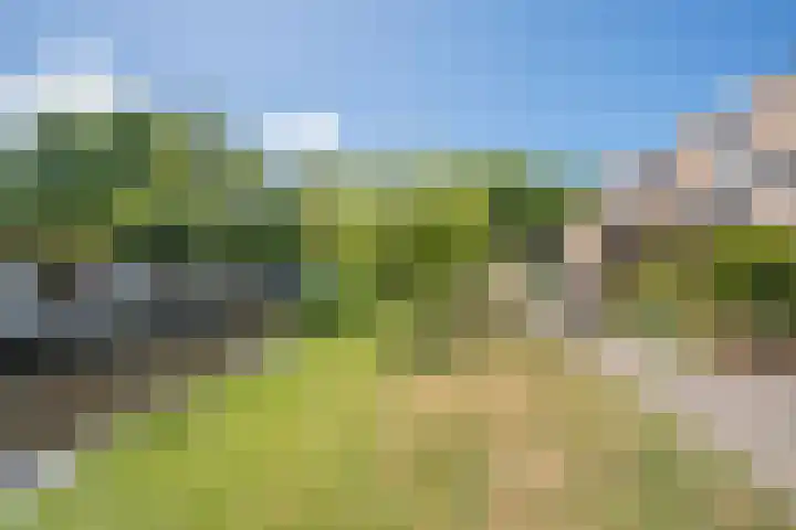 Wiegmanweg 32 Wassenaar thumbnail 18