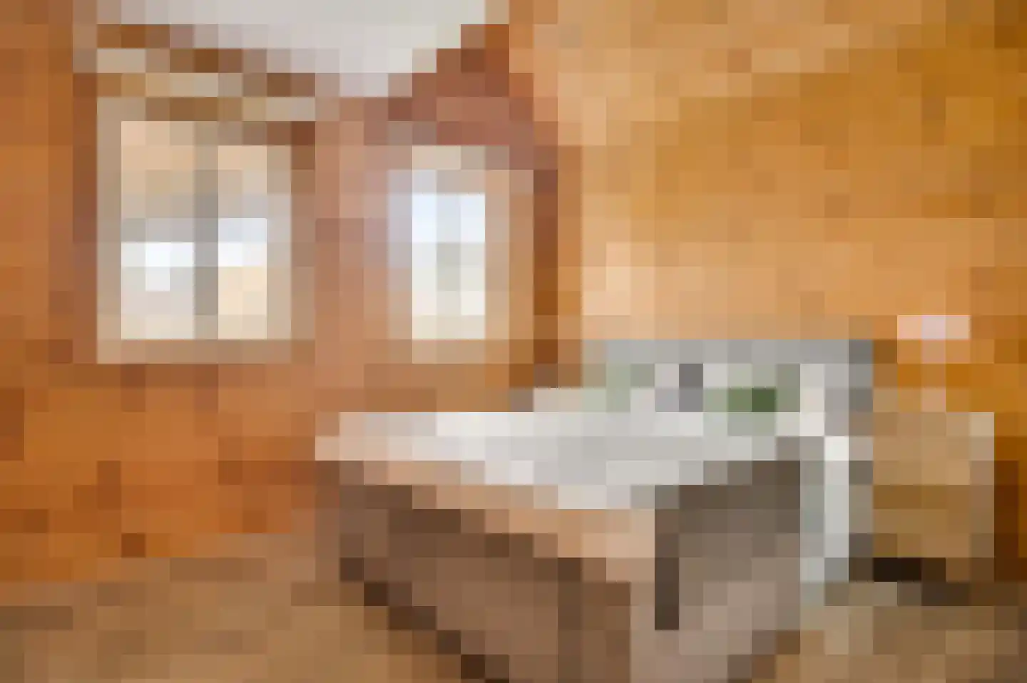 Wiejerd 7 Montfort thumbnail 17