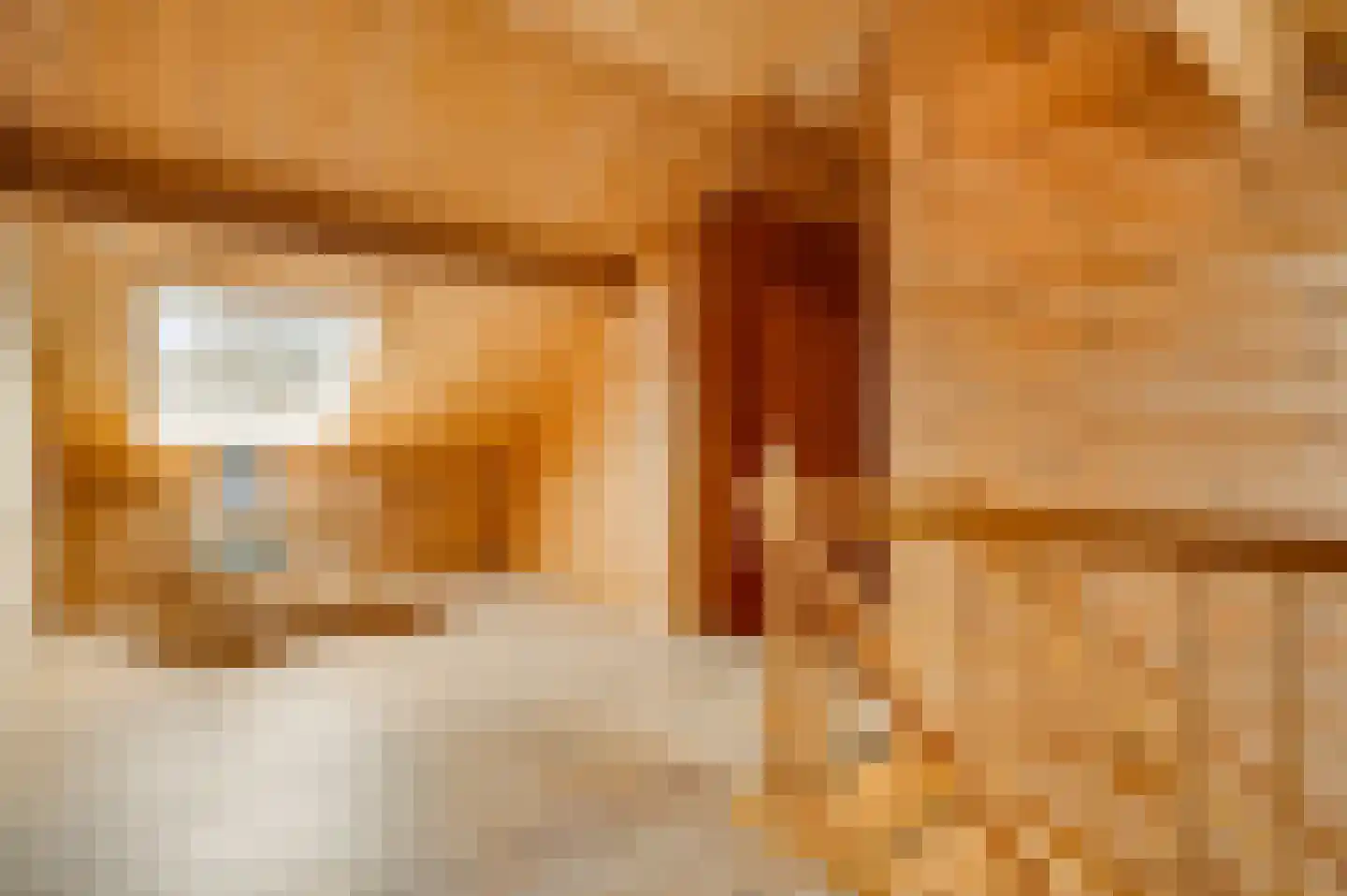 Wiejerd 7 Montfort thumbnail 23