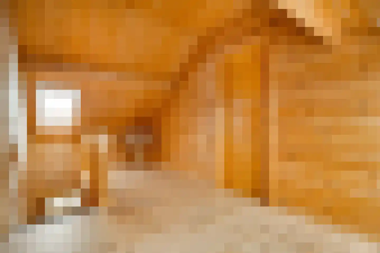 Wiejerd 7 Montfort thumbnail 24