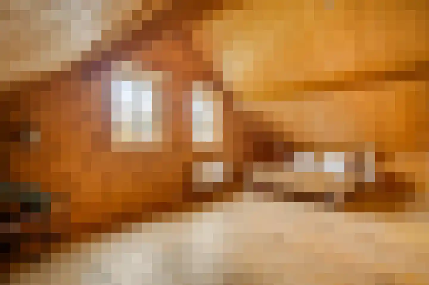 Wiejerd 7 Montfort thumbnail 25