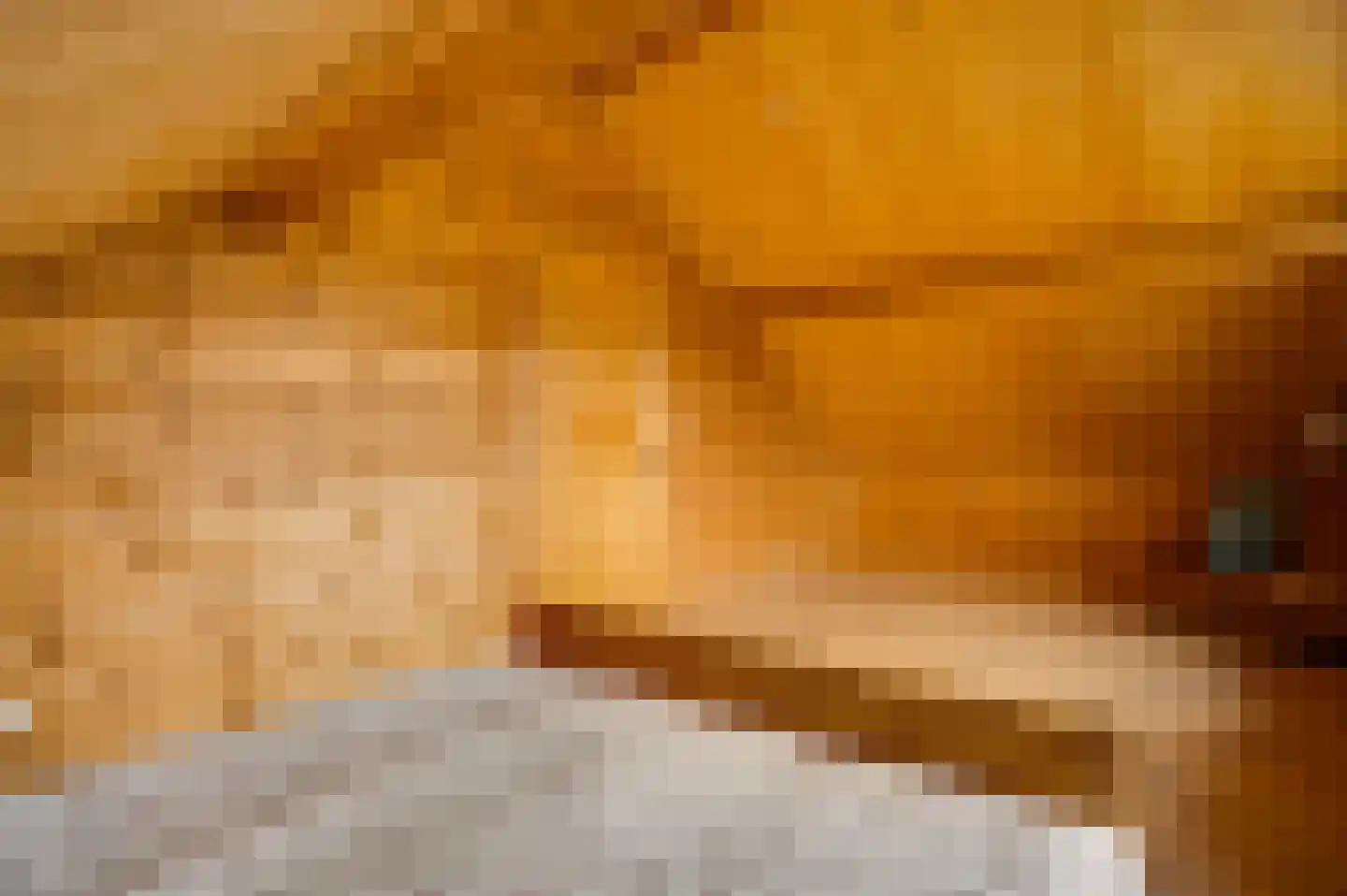 Wiejerd 7 Montfort thumbnail 26