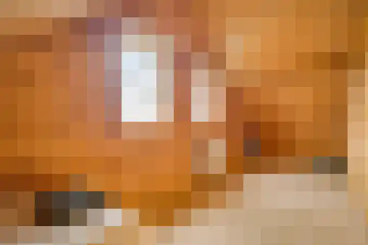 Wiejerd 7 Montfort thumbnail 27
