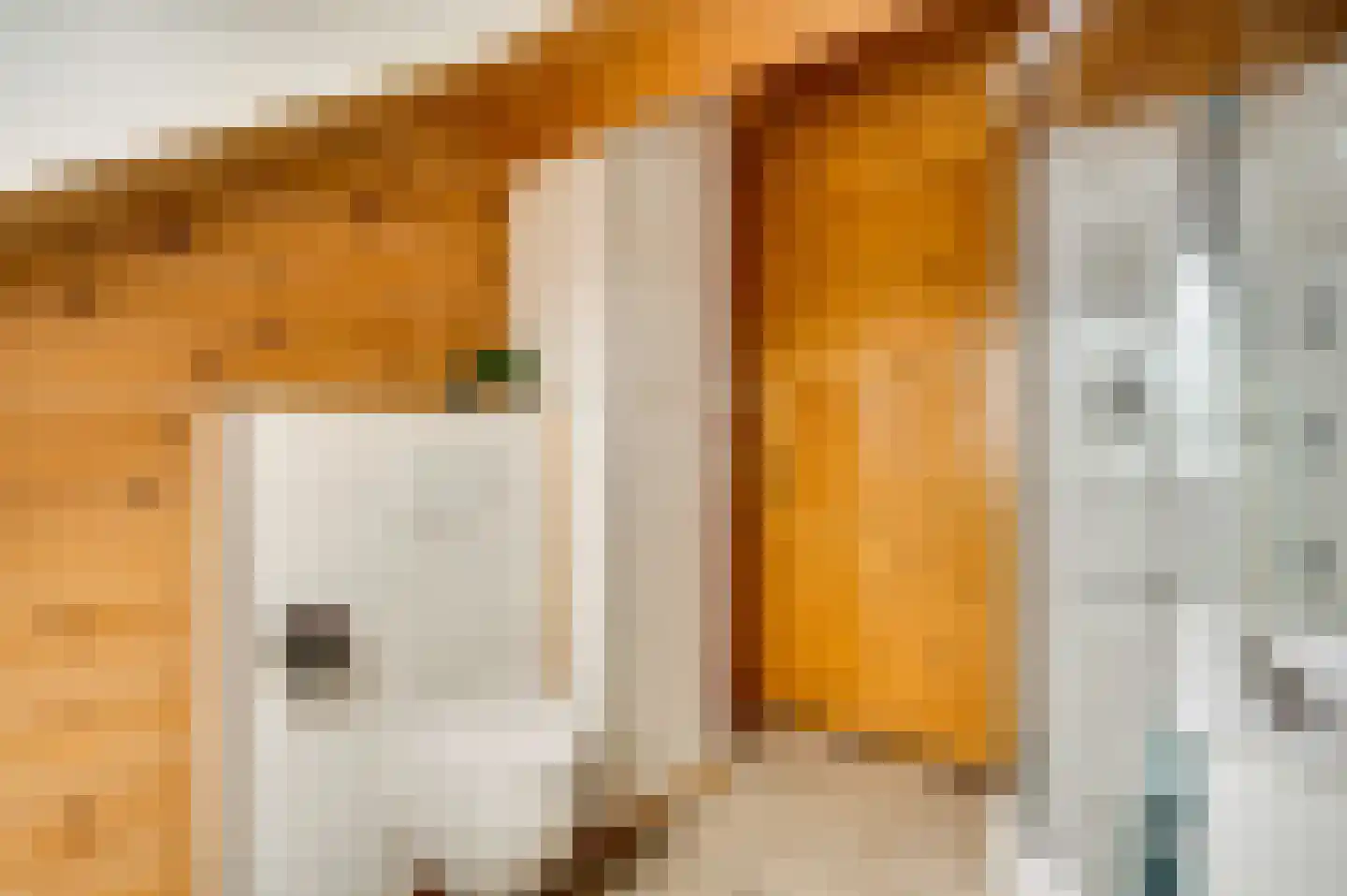 Wiejerd 7 Montfort thumbnail 32
