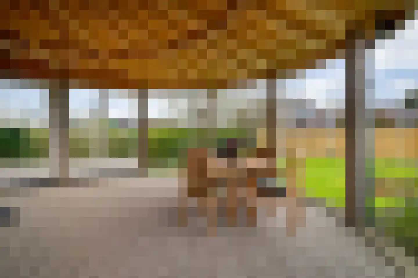 Wiejerd 7 Montfort thumbnail 34