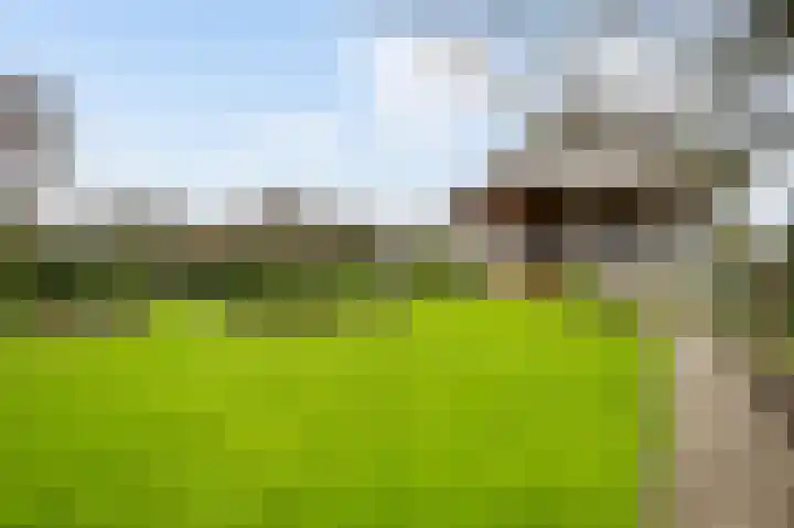 Wiejerd 7 Montfort thumbnail 37