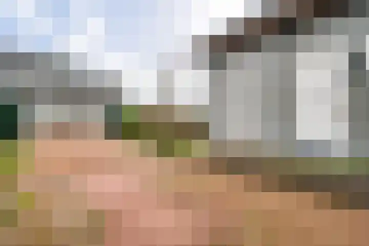 Wiejerd 7 Montfort thumbnail 4
