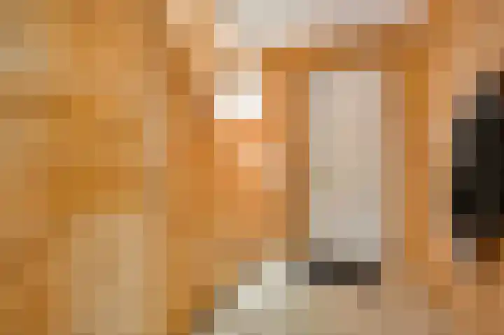 Wiejerd 7 Montfort thumbnail 5