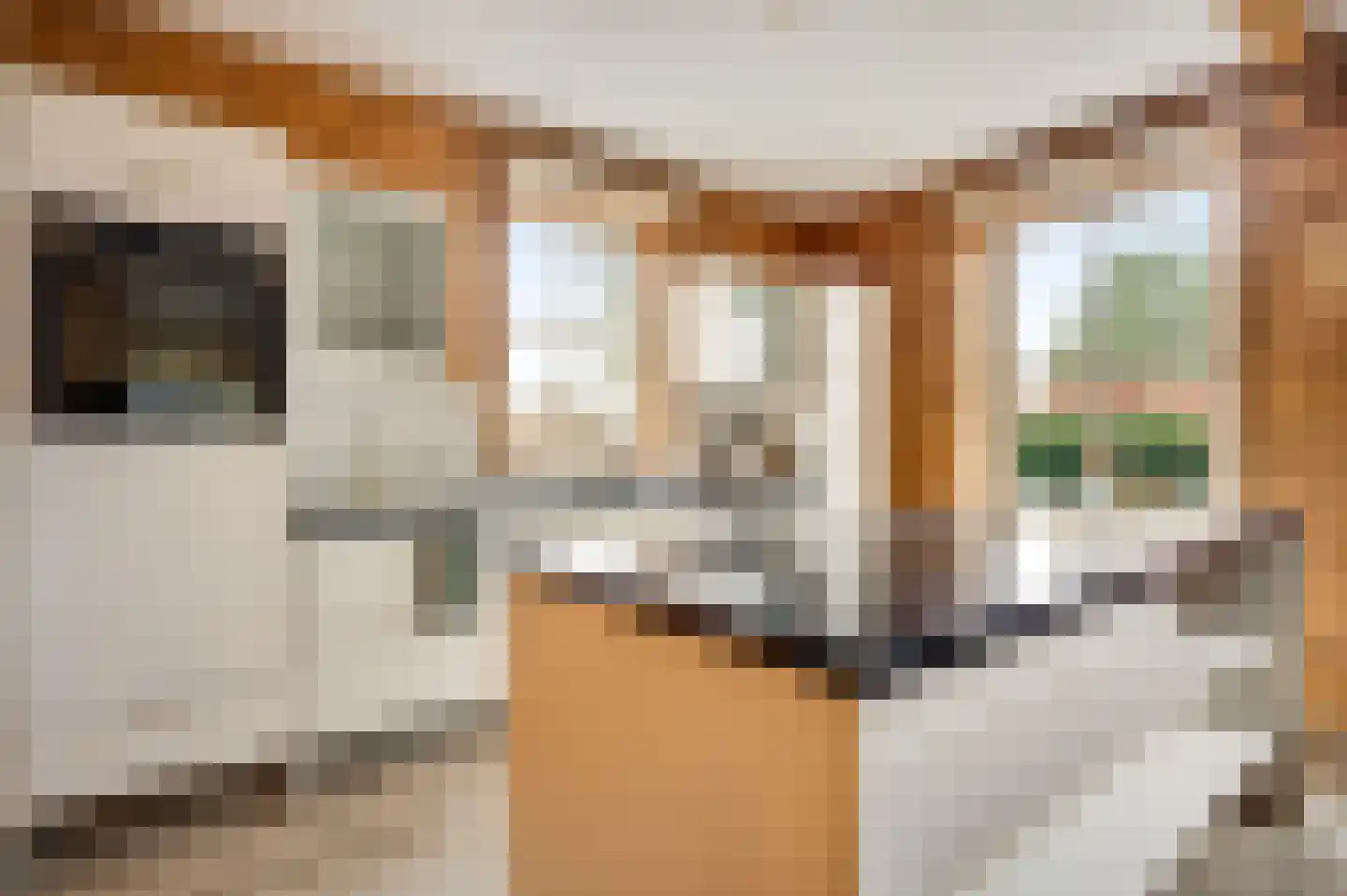Wiejerd 7 Montfort thumbnail 7