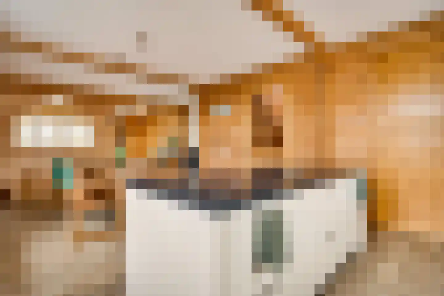 Wiejerd 7 Montfort thumbnail 8