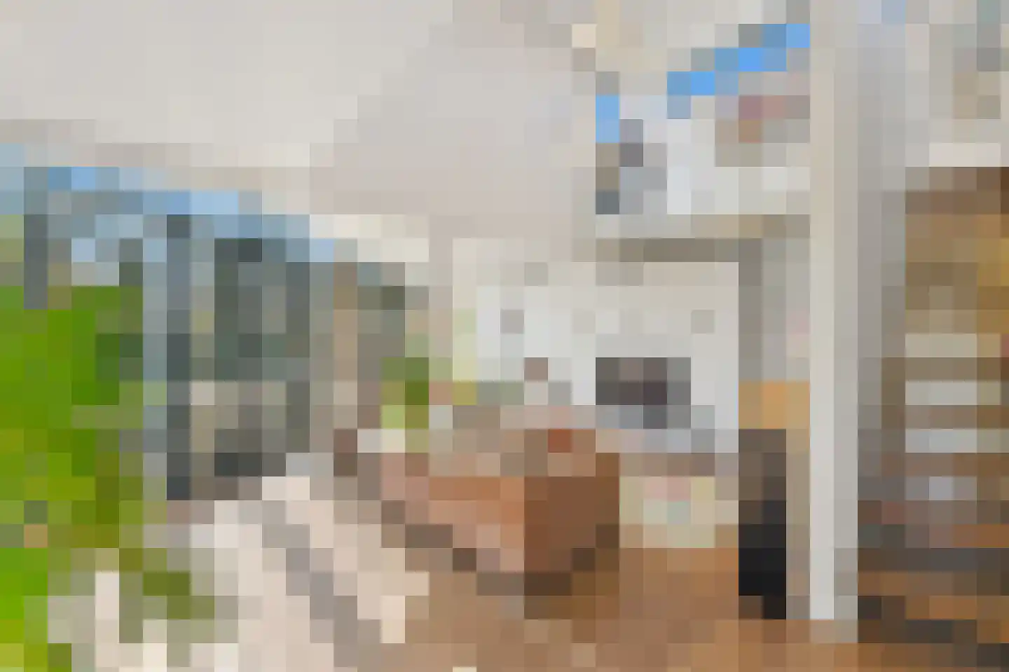 Wiek 1 Wateringen thumbnail 11