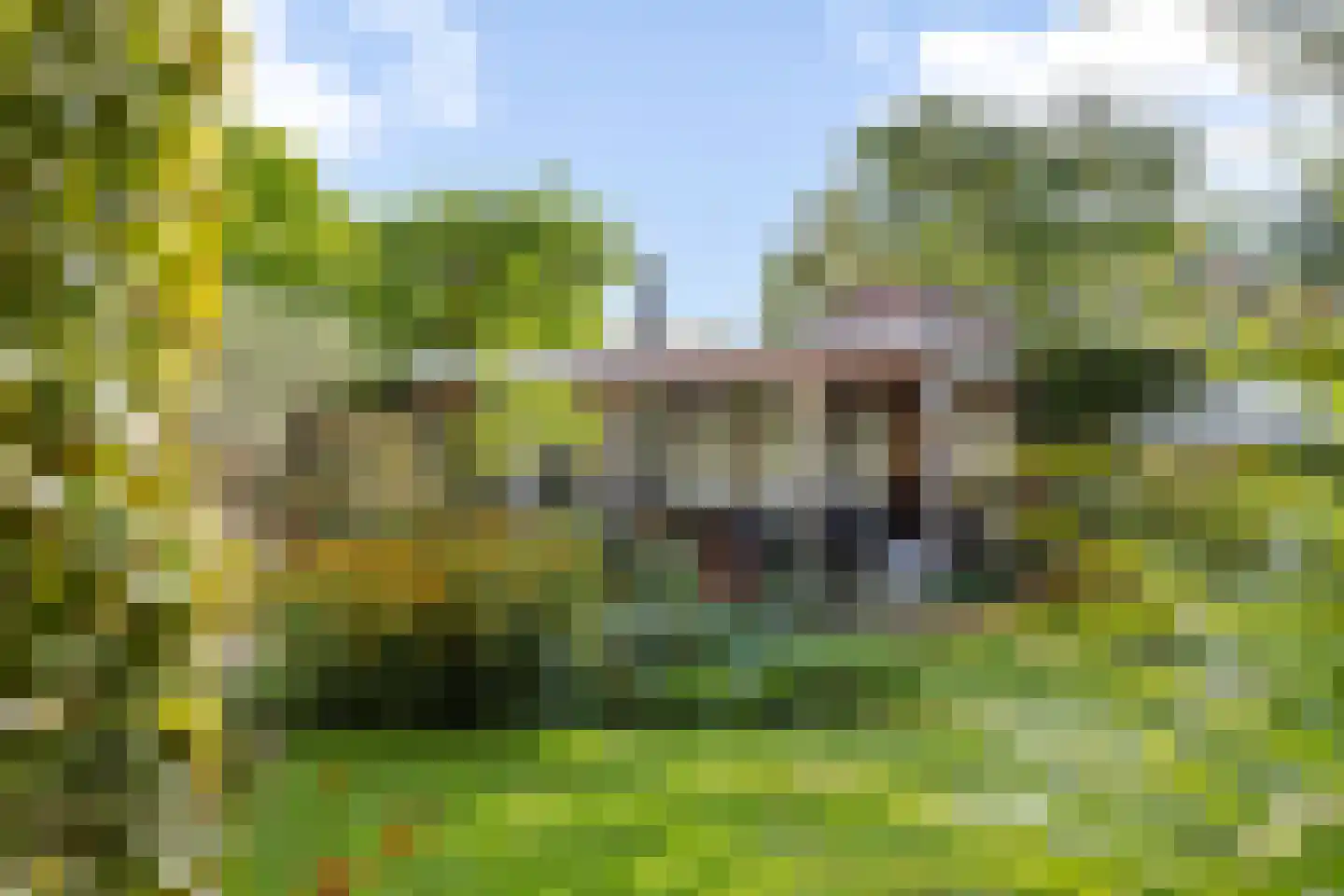 Wiek 1 Wateringen thumbnail 14
