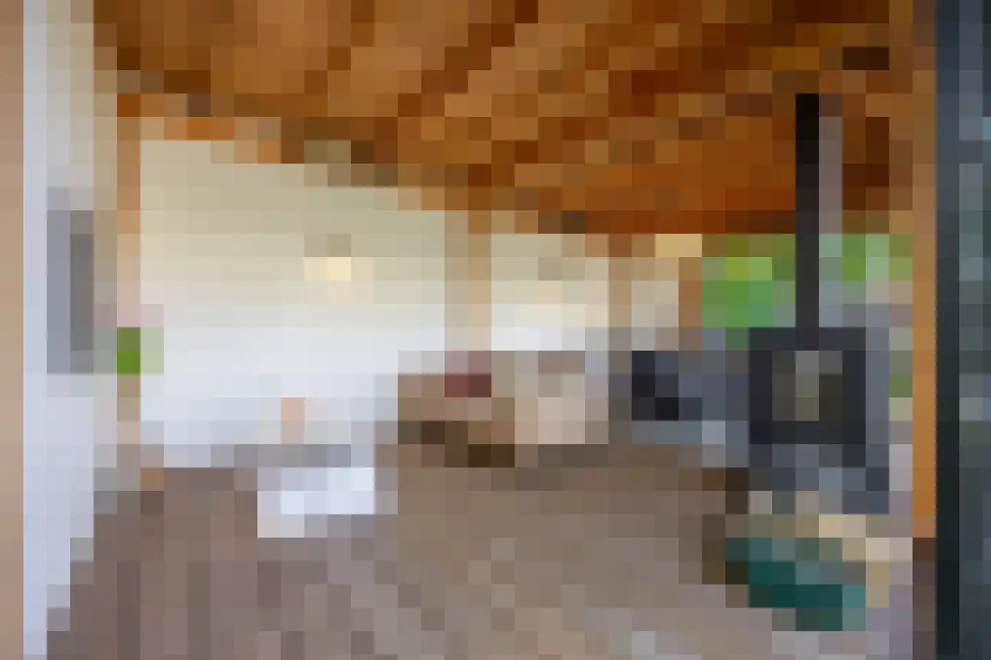 Wiek 1 Wateringen thumbnail 19