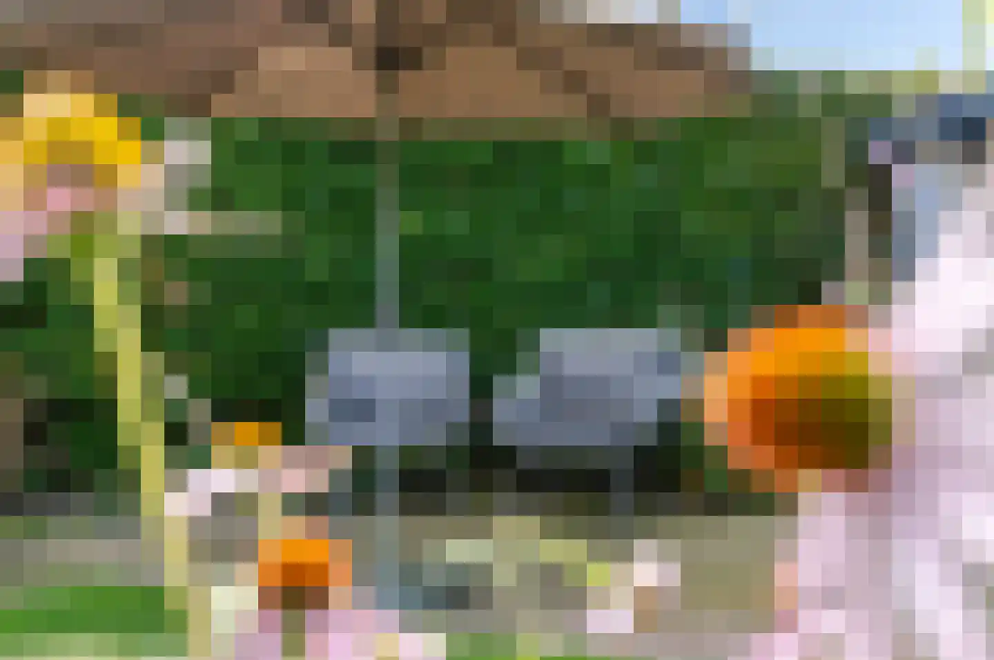 Wiek 1 Wateringen thumbnail 23