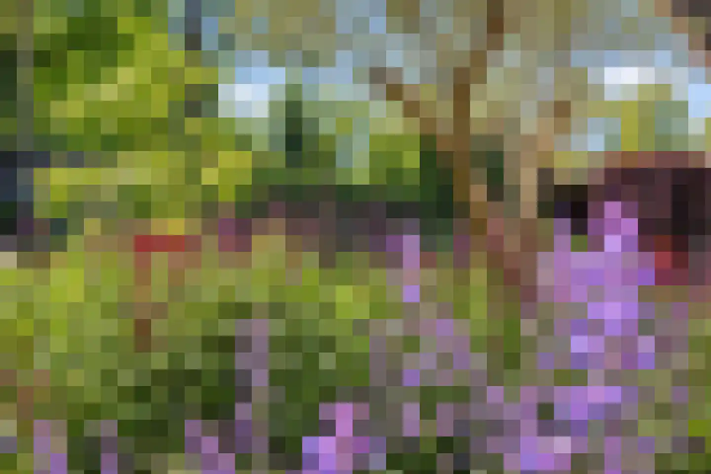 Wiek 1 Wateringen thumbnail 25