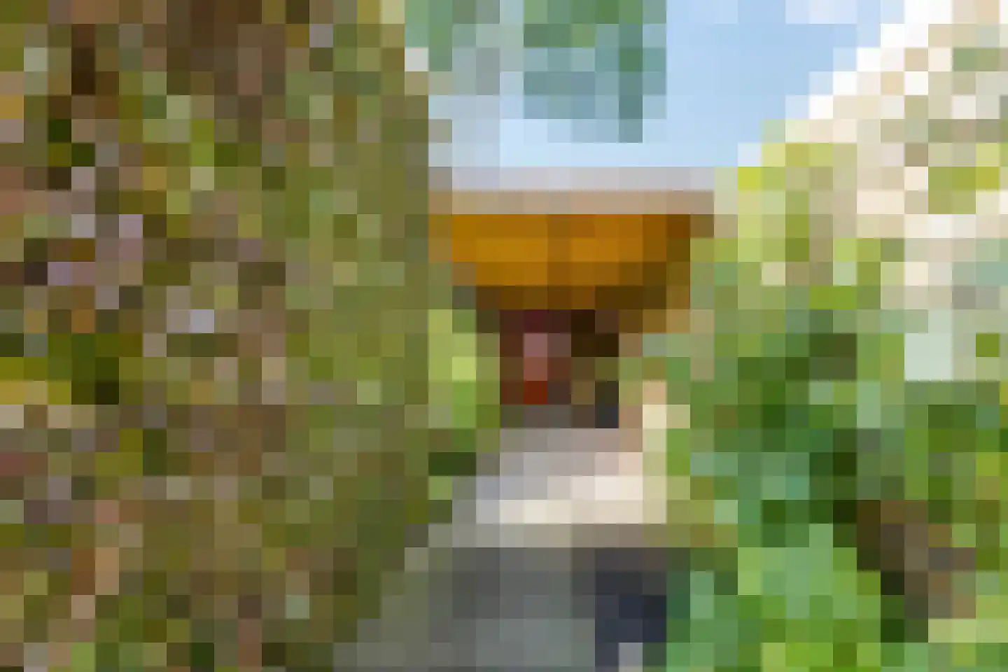 Wiek 1 Wateringen thumbnail 26