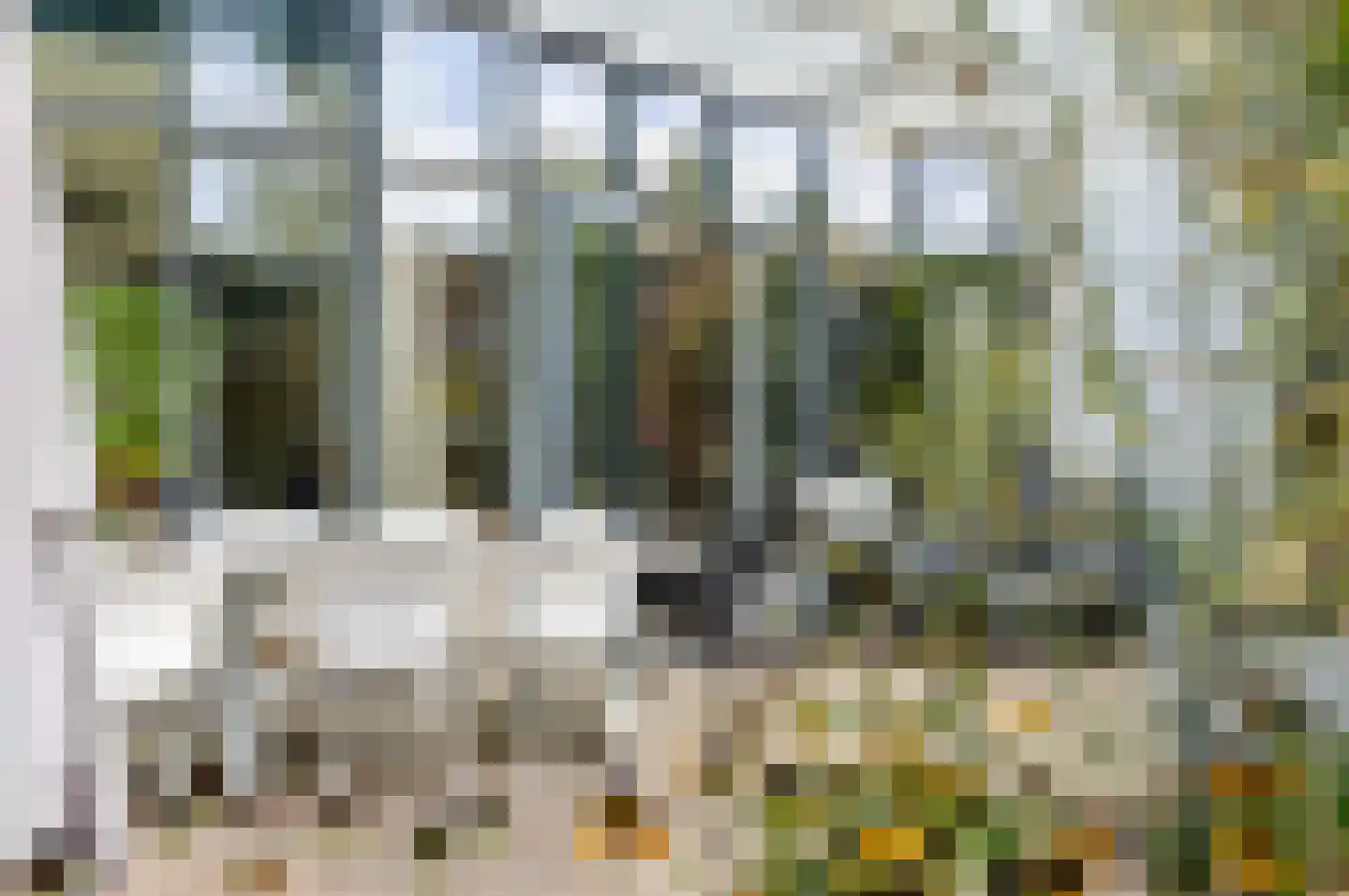 Wiek 1 Wateringen thumbnail 27