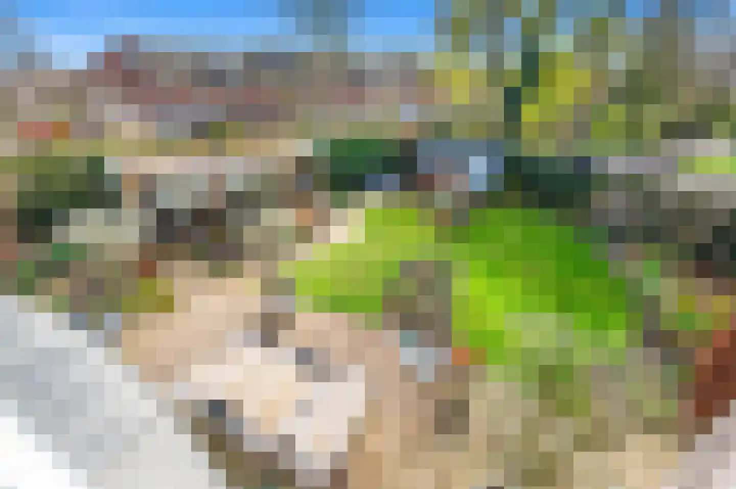 Wiek 1 Wateringen thumbnail 31
