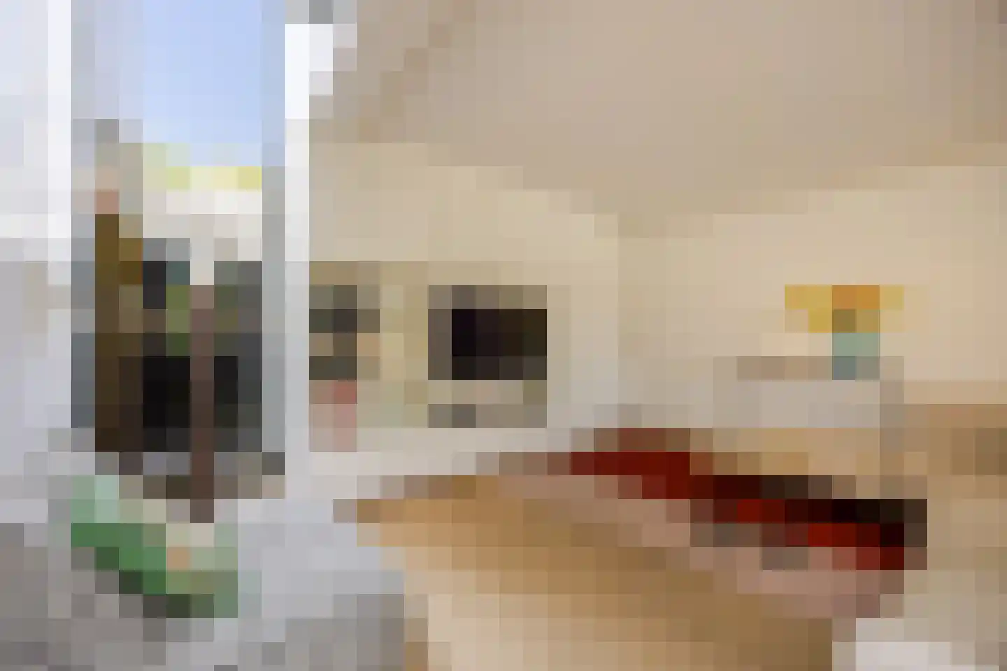 Wiek 1 Wateringen thumbnail 38