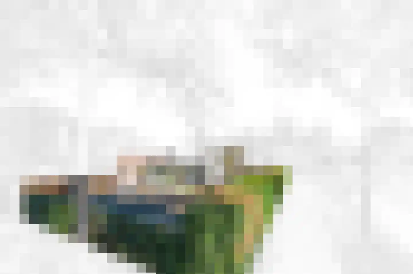 Wiek 1 Wateringen thumbnail 4